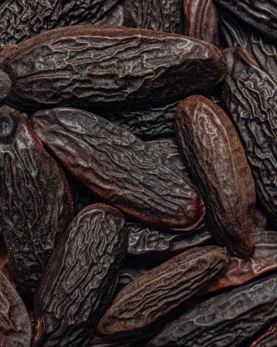 ABSOLU DE FÈVE TONKA DU VENEZUELA ORPUR™ ABSOLU DE FÈVE TONKA GRILLÉE DU VENEZUELA ORPUR™