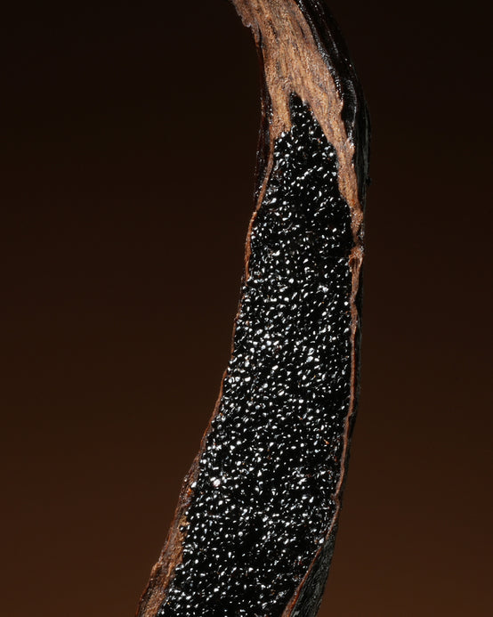 EXTRAIT CO₂ DE VANILLE DE MADAGASCAR ORPUR™