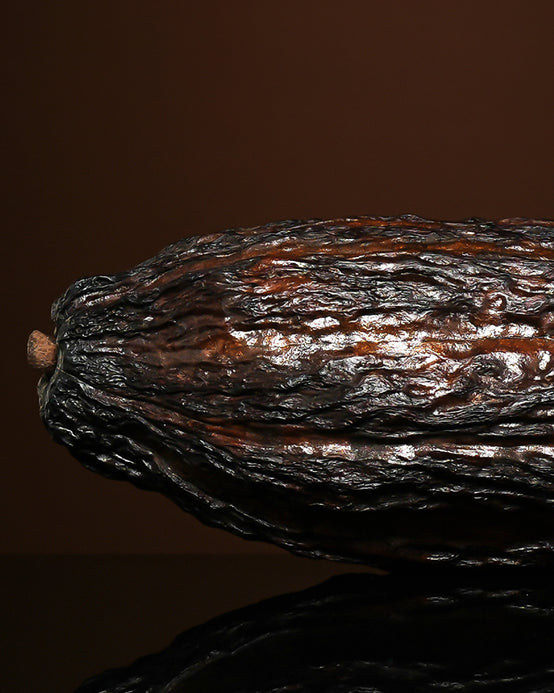 ABSOLU DE CACAO ORPUR™