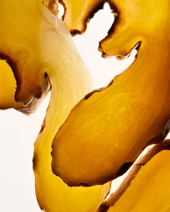 EXTRAIT CO₂ DE GINGEMBRE
