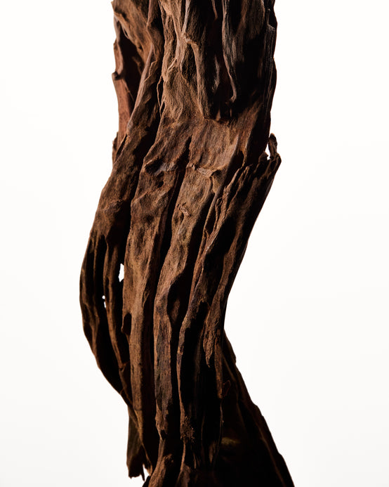ESSENCE DE BOIS DE CÈDRE DU MAROC ORPUR™