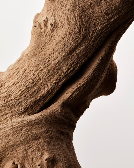 ESSENCE DE BOIS DE SANTAL ALBUM D’AUSTRALIE ORPUR™