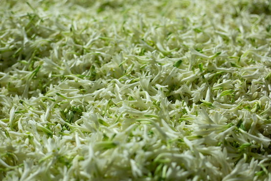 PRÉPARATION DES FLEURS POUR L'EXTRACTION AU SOLVANT